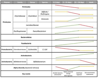 Gut microbiota development in the growing dog: A dynamic process influenced by maternal, environmental and host factors